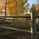 Stokker, pris pr.pall. Diameter i cm 8, lengde 400 cm thumbnail