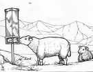 Salto saltstein – automat – 4 stein`s thumbnail